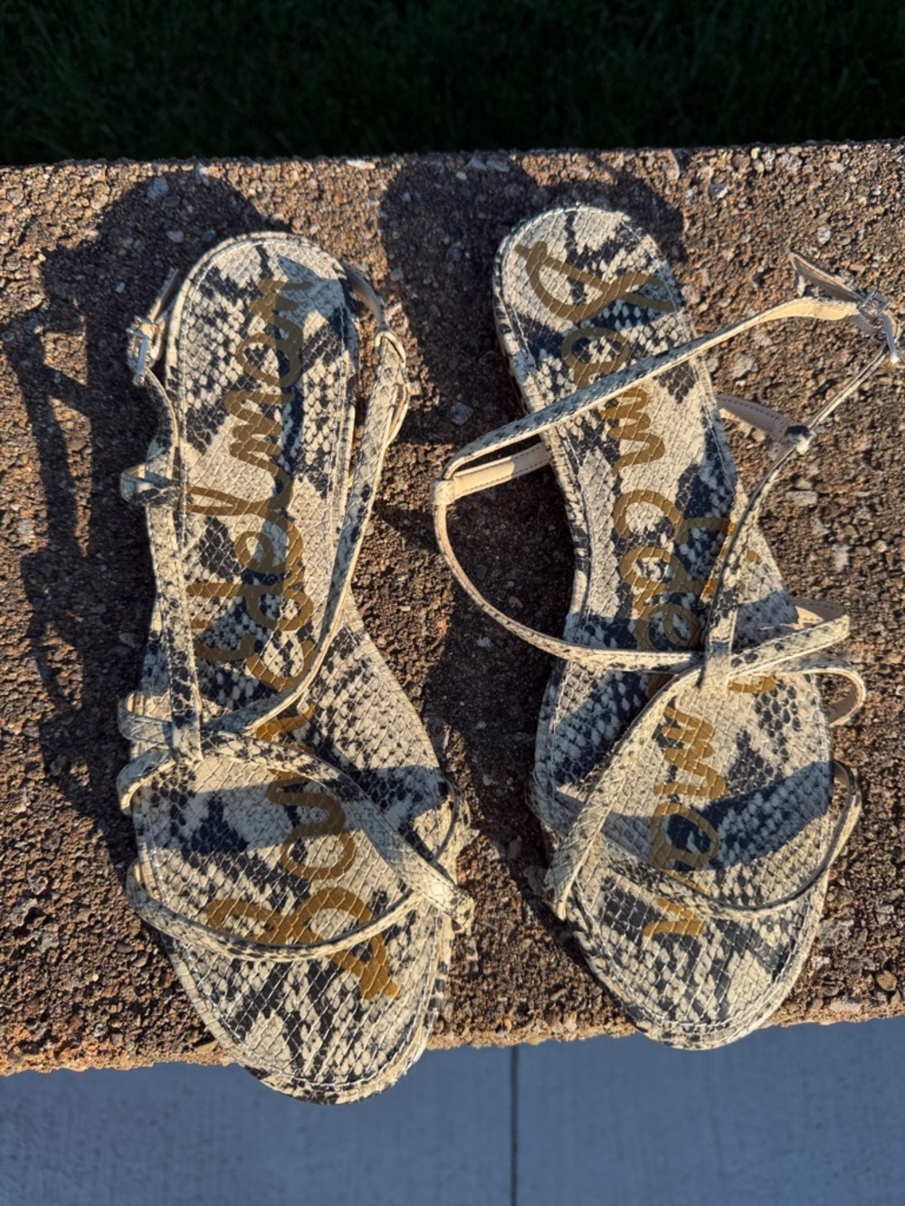 Sam Edelman Snake-Print Strappy Sandals - Black & Cream